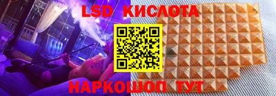 сатива Будённовск