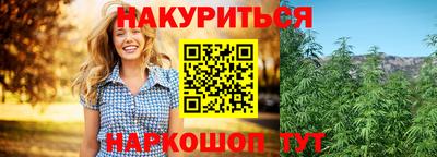 сатива Будённовск
