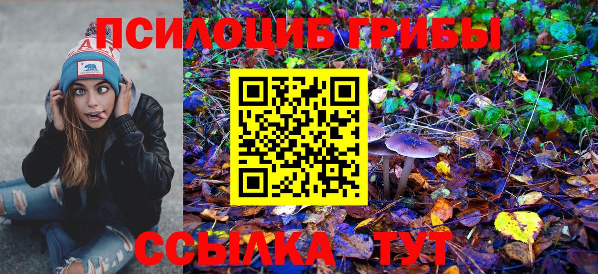 Севастополь  Галлюциногенные грибы GOLDEN TEACHER  Вход с VPN 